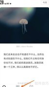 魔镜告诉我：中如何查看