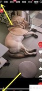 杭州亚运会闭幕式直播观看指南