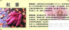 民间偏方缓解便秘妙招