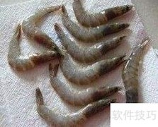 富贵红火大明虾
