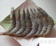 富贵红火大明虾