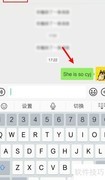 微信输入she is so翻译方法