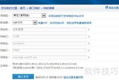 皮肤安装与服务器搭建指南