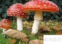 健康生活指南：简单实用的日常建议