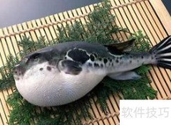 健康生活指南：简单实用的日常建议