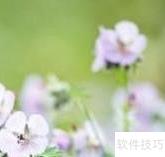 健康生活小贴士14