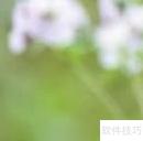 健康生活小贴士14