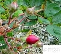 健康生活小贴士
