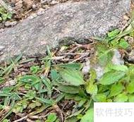 健康生活小贴士