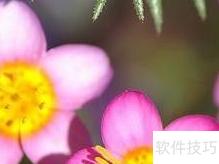 健康生活8个实用小贴士
