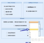 枫叶SWF转换器设置8个转换