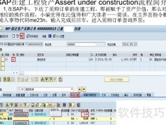 SAP在建工程资产简介