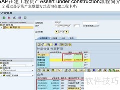 SAP在建工程资产简介
