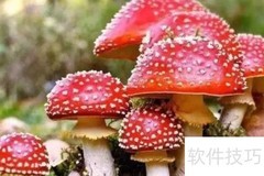 躺板板含义解析