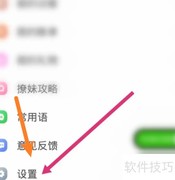 面具聊天免打扰开启指南