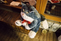 霓虹初上时 带着尼康Z6III夜巡城市