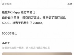 极氪9X订单加价超8万成加价王