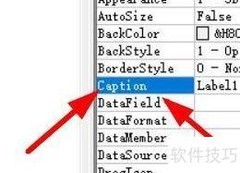 Label标题属性设置方法