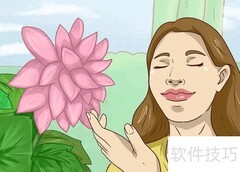 灵感从何而来？