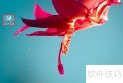 TXT转语音的实用方法