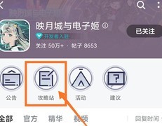 映月城与电子姬大神攻略合集