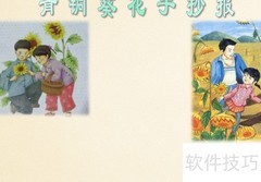 青铜葵花手抄报精选内容