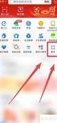 车牌物流查询方法