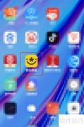车牌进度查询方法