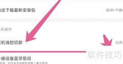 网易云音乐外接设备歌词设置