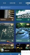 Calm冥想：微风轻拂何处