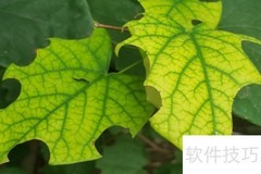 白云清风的含义解析