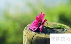 摄影：光影中的瞬间艺术
