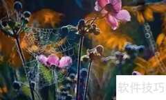 摄影：光影中的瞬间艺术