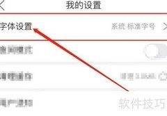 文汇软件字体大小设置方法