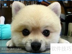 XP系统桌面更换技巧