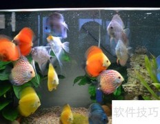 600*300*300鱼缸容量解析
