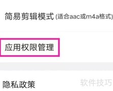 语音转文字大师权限查看指南