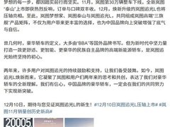 岚图11月交付破两万，三年加速冲刺百万销量目标