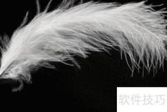 Photoshop快速抠羽毛技巧