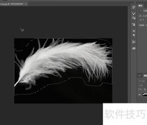 Photoshop快速抠羽毛技巧
