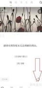 典读版本号查看方法