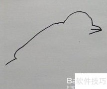 鸟的简笔画法教程