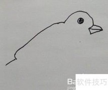 鸟的简笔画法教程