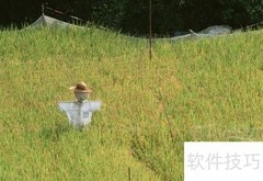 智能驱鸟器防鸟新方法