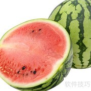 西瓜的营养价值与健康益处