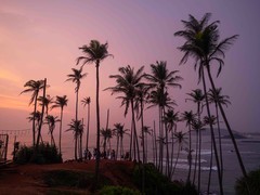 富士 GFX100RF 斯里兰卡行摄实录