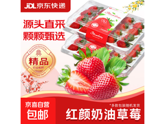 大凉山红颜草莓99礼盒装，促销价24.9元速来抢！