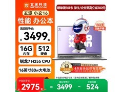 玄派笔记本高性能，京东到手仅 2917 元