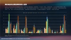 鲁大师2025两轮电动车行业调研报告