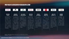 鲁大师2025两轮电动车行业调研报告